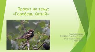 Презентація на тему: «Горобець Хатній» (Винарський Артем)