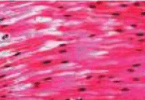 0602fsgk-d952-186x128.png