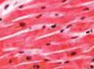 0602fshu-efe5-163x119.png
