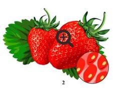 0602fu4x-5019-241x178.jpg