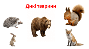 "Дикі тварини"
