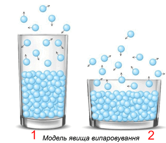0602fvlz-868e-537x462.png