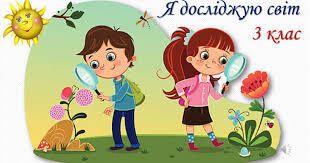 0602fvy5-4393-310x163.jpg