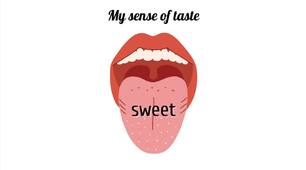 Англійська мова | My sense of taste