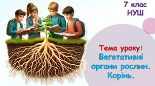 Презентація з біології для учнів 7 класу НУШ. Тема уроку: Корінь.Вегетативні органи рослин.
