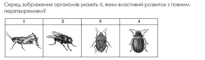 0602fza8-7f1b-782x231.png