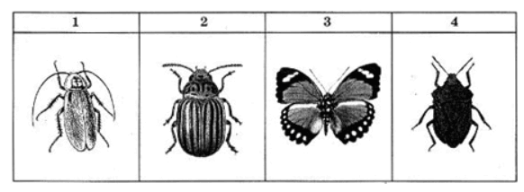 0602fzaf-29b1-582x214.png