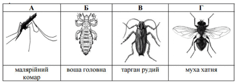 0602fzao-1323-762x266.png