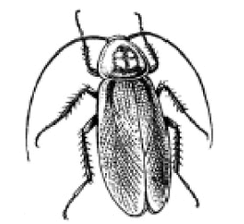 0602fzbi-3163-274x251.png