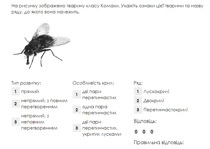 0602fzbm-fd67-690x490.png