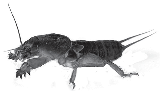 0602fzcv-1419-617x352.png
