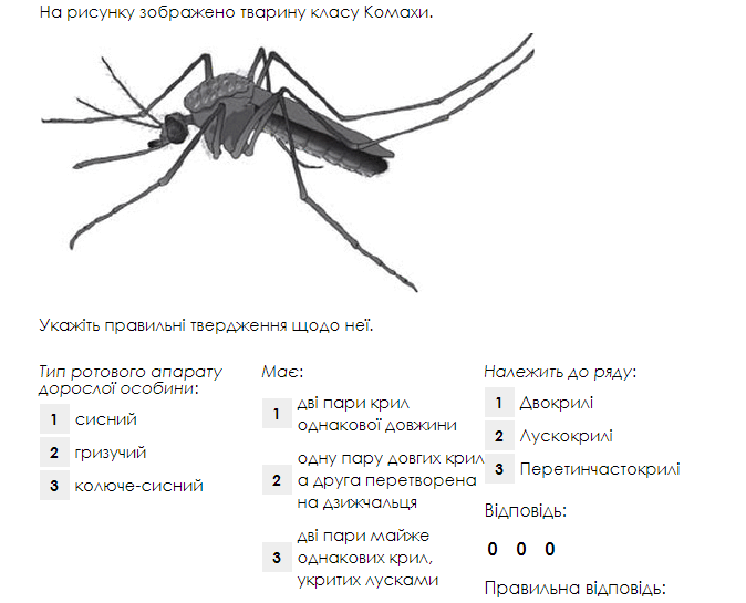 0602fzd2-fe3f-674x545.png