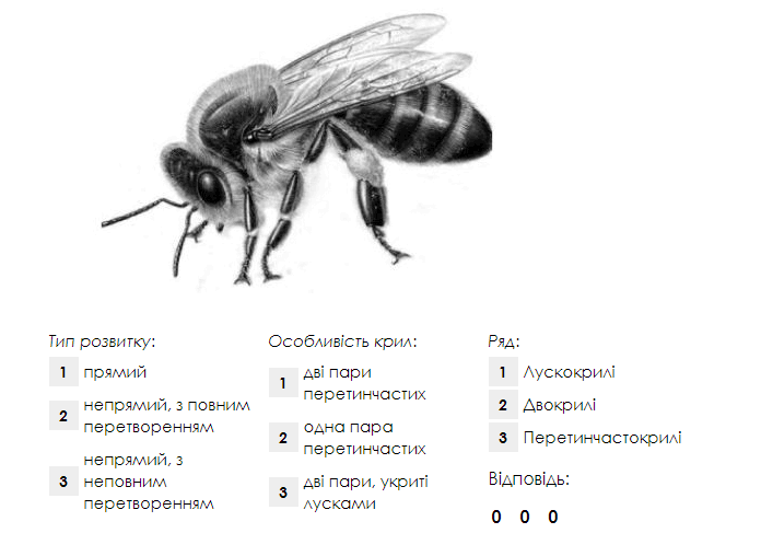 0602fzdc-9e72-696x487.png