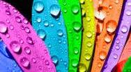 Тема уроку: Colors (Кольори)