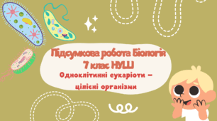 ПІДСУМКОВА РОБОТА. Одноклітинні еукаріоти - цілісні організми. Біологія 7 клас НУШ