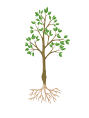 0602g27n-356b-89x118.png