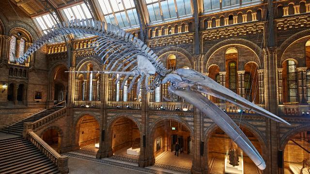 Natural History Museum London tickets and visitor information