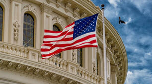США. Місце країни у світі та регіоні. Основні чинники, що визначають місце країни в міжнародному поділі праці. Система розселення. Українська діаспора США.