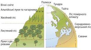 пар. 9. Природні комплекси Землі