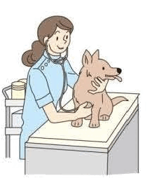 0602g7c8-c5ef-210x254.png