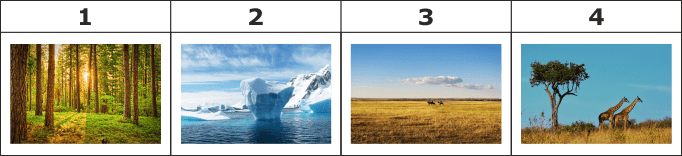0602g864-e534-682x156.png