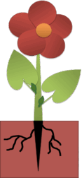 0602g96e-40db-117x252.png