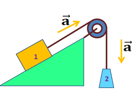 0602g9jl-436e-443x313.png