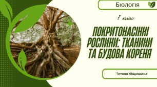 Покритонасінні рослини: тканини та будова кореня. 7клас. НУШ