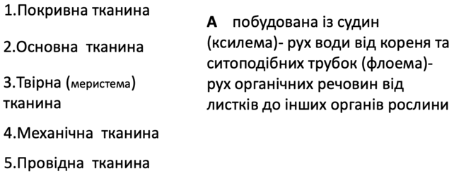 0602gaoy-1359-642x249.png