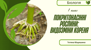 Видозміни кореня. 7 клас. НУШ