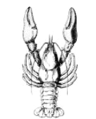 0602gaye-a280-140x173.png