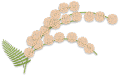 0602gb4v-f210-235x150.png