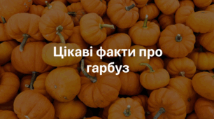 Презентація на тему: "Цікаві факти про гарбуз"