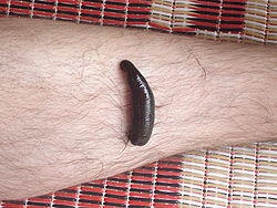 0602gfwh-e5f1-250x188.jpg