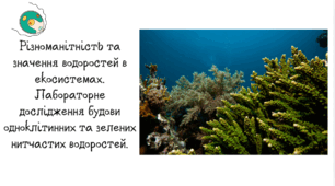 Різноманітність та значення водоростей в екосистемах. Лабораторне дослідження будови одноклітинних та зелених нитчастих водоростей.