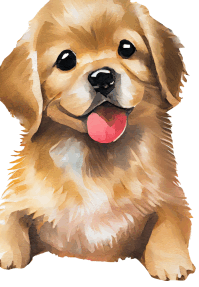 0602ggaq-3efb-199x287.png
