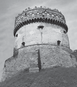 0602ghtn-8745-299x338.png