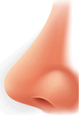 0602giys-b35c-156x226.png