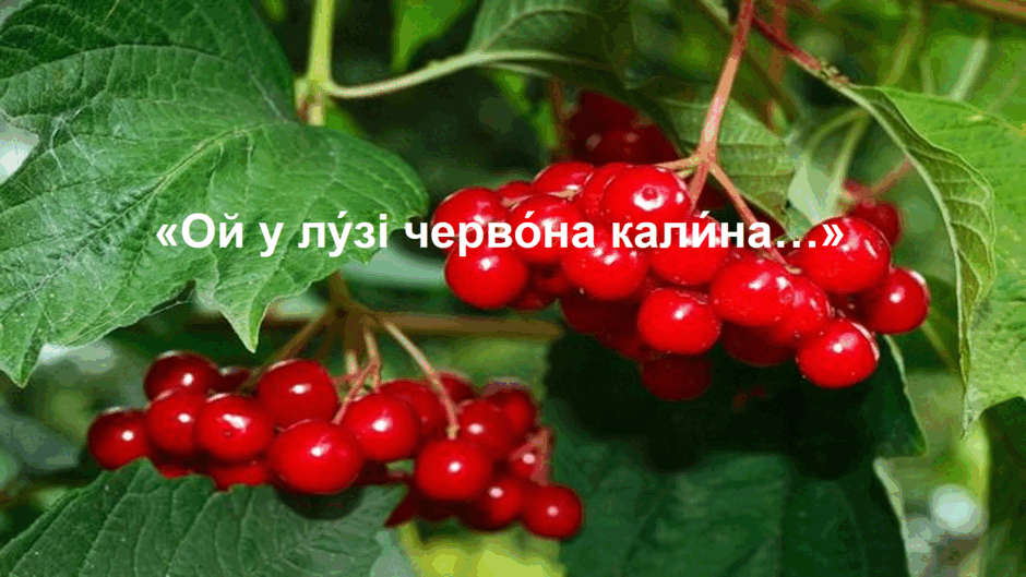 0602gkgf-f507-940x529.png