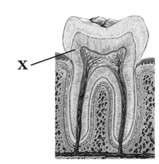 0602goaf-8c90-528x546.png