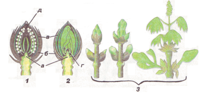 0602gqvh-9826-399x196.png