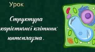 Структура еукаріотичної клітини: цитоплазма .