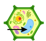 0602gsls-1004-160x142.png