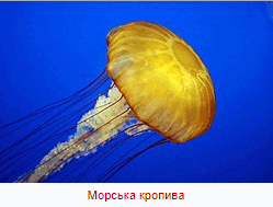 0602gthg-0840-249x189.png