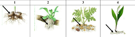 0602gvqf-bc03-449x125.png