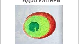 Робочий аркуш з теми "Ядро"