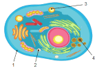 0602gwg1-d97a-141x98.png