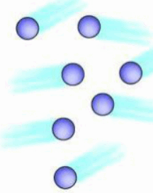 0602gx61-8596-216x273.png