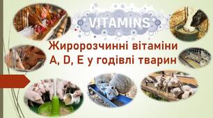 Презентація на тему: "Жиророзчинні вітаміни А, D, Е у годівлі тварин"