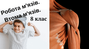 Робота м'язів та причини їхньої втоми 